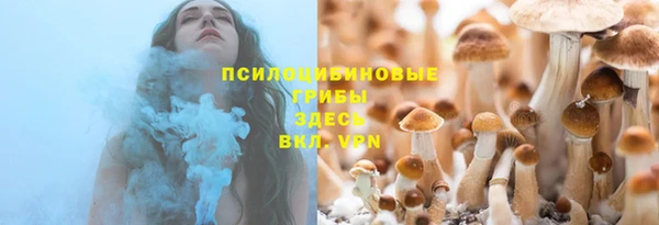 МДПВ Горнозаводск