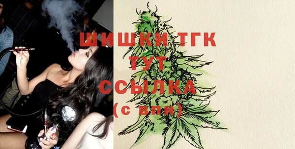 spice Гусев