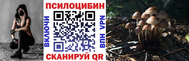 Псилоцибиновые грибы мицелий  цена   Данков 